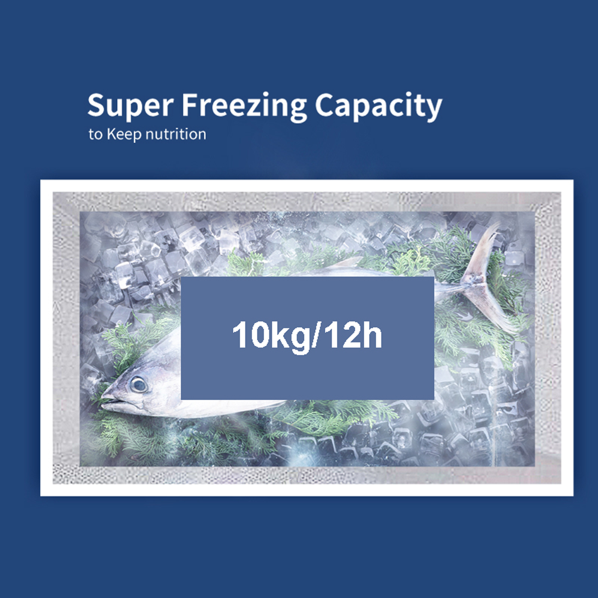 KXF-300W2 1200×1200 2-5